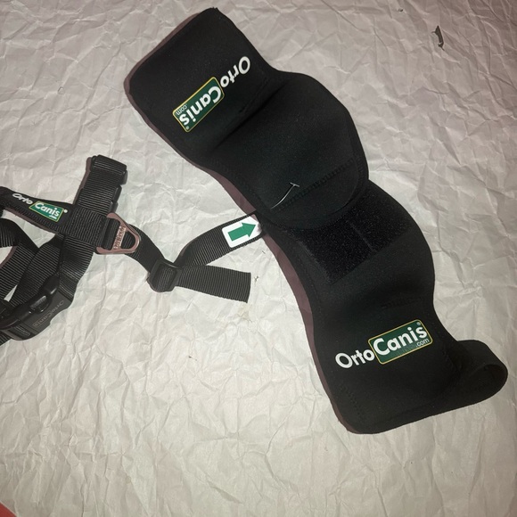 Ortocanis Hip Support for Dog - Picture 14 of 15